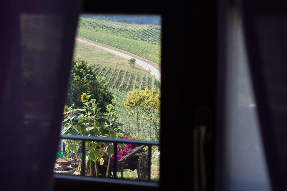 Agriturismo La Cà Veja Monforte dʼAlba Extérieur photo
